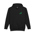 LOUD MONEY URBAN — Count It Loud Graphic Hoodie (Onyx)